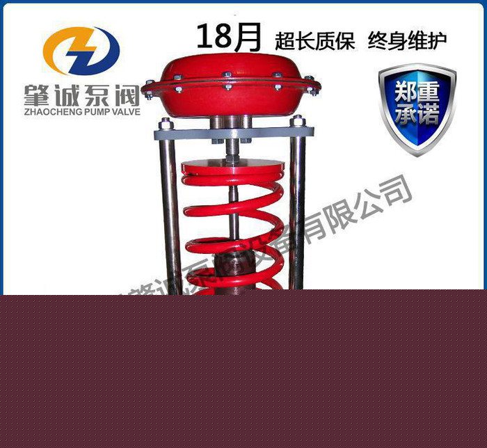 **壓力調節閥 自力式壓力調節閥 帶