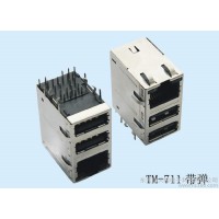 供應專業制造百兆濾波器10/100M RJ45+2USB連接器 RJ45+USB百兆濾波器
