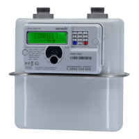 瑞典Cewe電子指數燃氣表Liberty EG4v 12