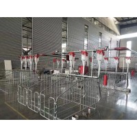 自動喂料線系列定制全套自動喂料育肥設(shè)備養(yǎng)豬場自動化料線設(shè)備