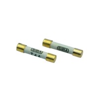 德國SIBA 189020熔芯