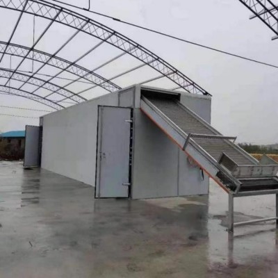 玉米辣椒連續干燥處理生產線帶式糧