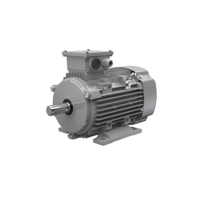 Ac-Motoren ACM 100 LA 4/SPE 異步